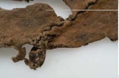Foto von Leder (NHMW-PRAE-003501)